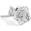 BESZONE Tin Rose 10th Anniversary for Her Gift - Tin