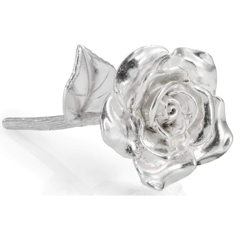BESZONE Tin Rose 10th Anniversary for Her Gift - Tin