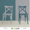 RECOLOR Recycled Interior Matte Finish Latex Paint for Walls and