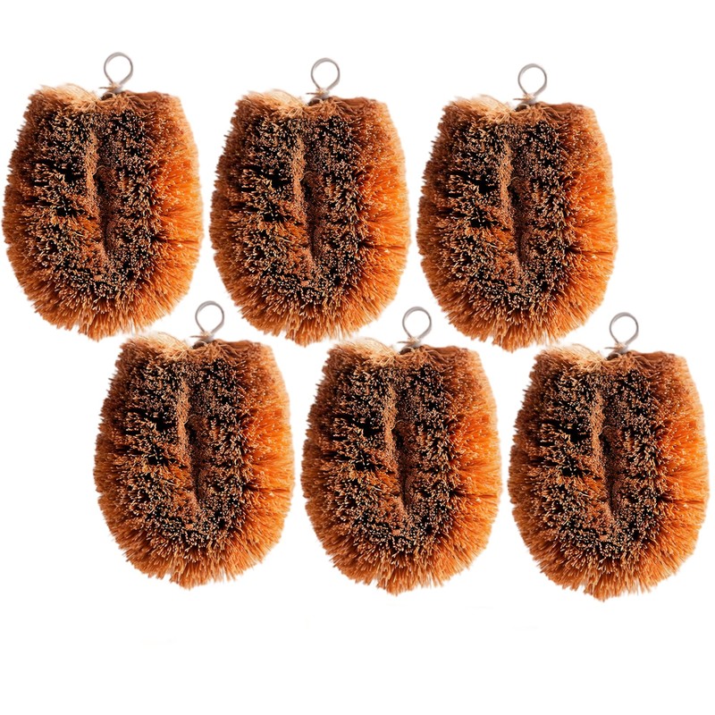 Pack of 2 Tawashi Coconut Coir Fiber Brushes, Natural Vegetable