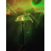 Set of 2 Clear Acrylic Dolphin Solar Power Outdoor Garden