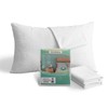 Aimtton Waterproof Pillowcase 50 x 70 cm - Cotton Pack