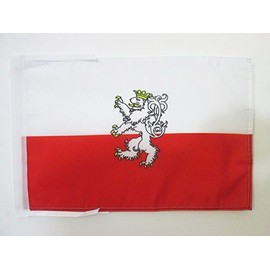 AZ FLAG Bohemia Flag 18'' x 12'' Cords - Bohemian Small Flags 30 x 45cm - Banner 18x12 in