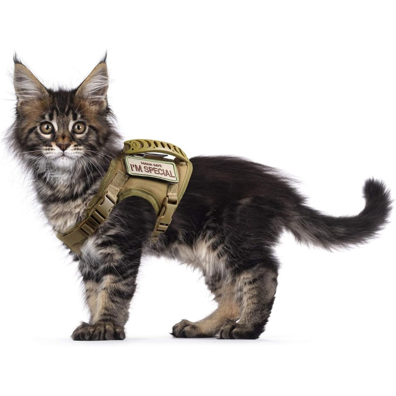 Arnés táctico para gatos para caminar a prueba de escapes,