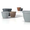 Scheurich Country Star Planter