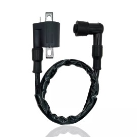 PAUL EAGLE MOTORSPORTS BAJA MOTORSPORTS PEP BOYS 250CC ATV IGNITION COIL BAJA WD250-U WILDERNESS TRAIL