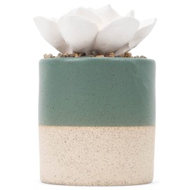 Demdaco Inhale Hope Exhale Worries Green Golden Succulent 3 x 5 Stoneware Decorative Tabletop Oil Diffuser