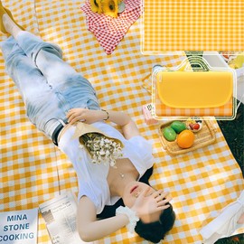 TFSZE Picnic Blanket, 300 x 200 cm, Foldable Stripes, Waterproof, Portable Extra Large Beach Blanket, Camping Blanket, Sandproof, Insulated with Carry Handle, Perfect for Picnic, Outdoor, Camping,