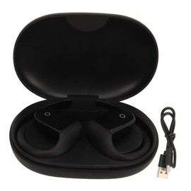 Language Translator Earbuds Support 144 Online Translations Bluetooth 5.3 Wireless Translator Device Black
