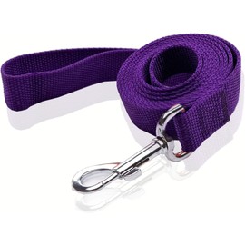 Nylon Dog Leash 10 Feet Long, Walking Training Dog Leashes for Medium Large Dogs, 1 Inch Wide (Purple)