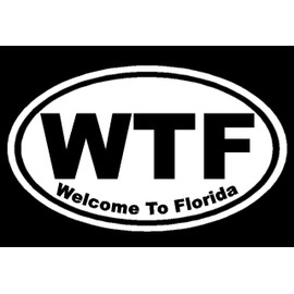 Dan's Decals Welcome to Florida Decal, WTF Sticker, Funny Floriduh Bumper Stickers, Please Message Us for More Size, Color, and Designs (H 3.5 by L 6 Inches, White)