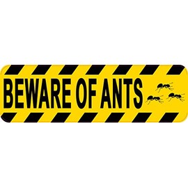 StickerTalk Beware of Ants Vinyl Sticker, 10 inches by 3 inches