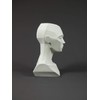 3dtotal Figure Collection Female Planar Bust: 6.4 Inch Tall Head