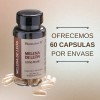 Melena De Leon Lions Mane Pharmadan 60 Caps
