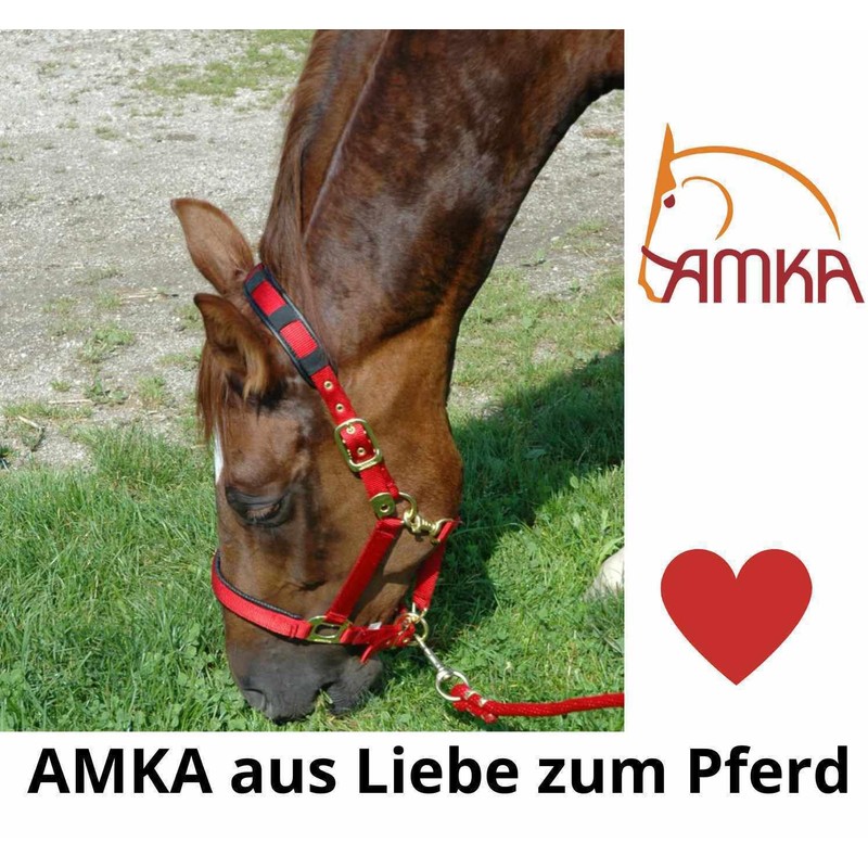 AMKA Cotton Lead Rope with Carabiner