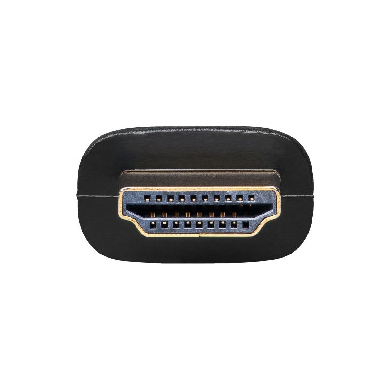 Wentronic HDMI-DVI-D Adaptor (19-Pin HDMI Male to DVI-D Female) 2