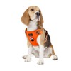 Funfox Dog Harness No Pull Pet Harness, Adjustable Dog Vest