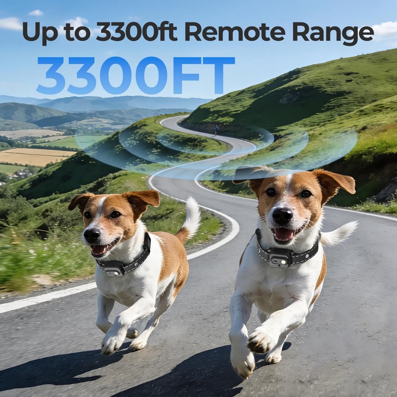 RPZ Dog Shock Collar 2 Dogs with Remote, 3300FT Dog