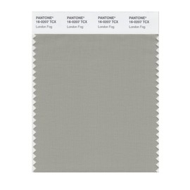 PANTONE Smart 16-0207X Color Swatch Card, London Fog