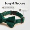 Collar para perro con pajarita, material de terciopelo suave con