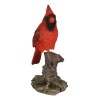 Wild Northern Red Cardinal Bird Perching on Tree Stump Spring