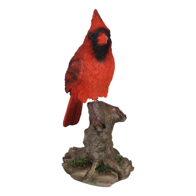 Wild Northern Red Cardinal Bird Perching on Tree Stump Spring