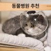 고양이 모자 보호 투명 통기성 반려묘 목욕 반려동물 Cat Hat