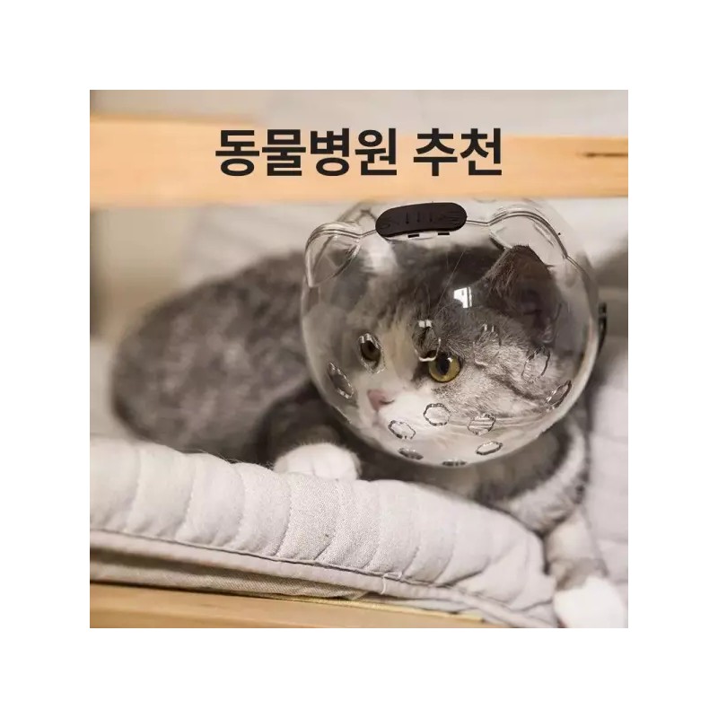 고양이 모자 보호 투명 통기성 반려묘 목욕 반려동물 Cat Hat
