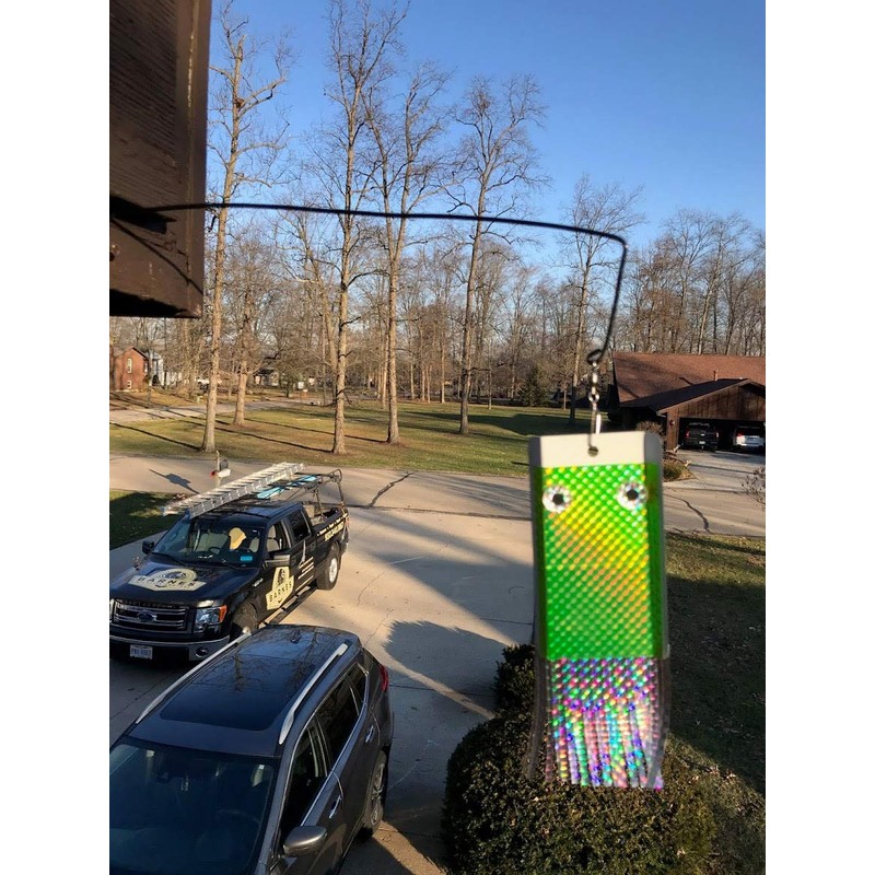 Bird Banisher Woodpecker Deterrent & Bird Scare Device