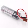 Zivases (5 Pack) ER17500V/3.6V Battery ER17500V 2700mAh CS1W-BAT01 Batteries Compatible
