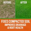 Soft Soil Liquid Soil Aerator & Lawn Treatment to Fix