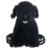 Black Labrador Dog - Soft Plush Toy - 16 inch