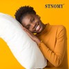 STNOMY Premium 100% Eucalyptus Tencel Lyocell Cooling Pillowcase Set of