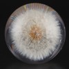 2.8in Shift Knob Crystal Real Dandelions Flowers Universal Accessory with