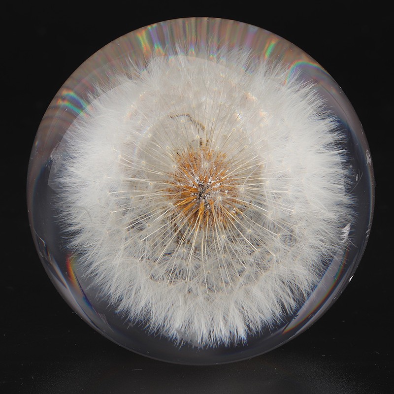 2.8in Shift Knob Crystal Real Dandelions Flowers Universal Accessory with