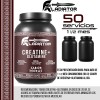 Aminoácidos Pre Creatina+glutamina Gladiator 1kg Sabores Moras
