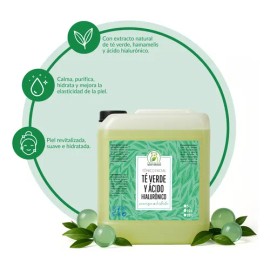 Tónico Facial De Té Verde & Ácido Hialurónico 5 Lts Tipo De Piel Todo Tipo De Piel