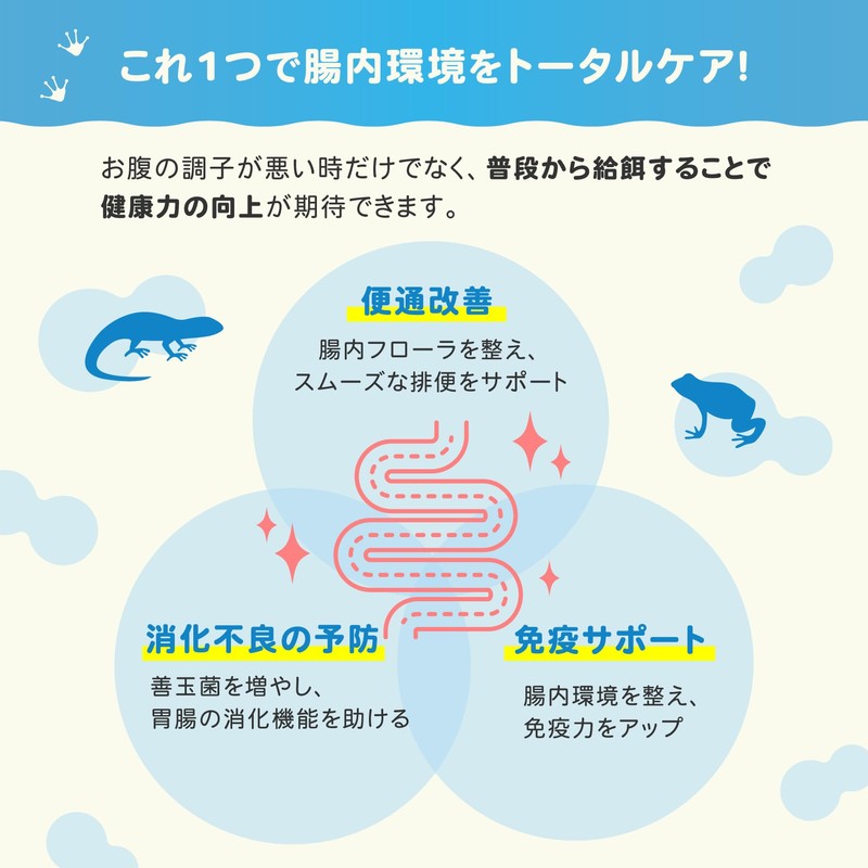 【レプケア乳酸菌】 爬虫類・両生類の腸内環境を整えるサプリメント（30g）〜乳酸菌×コオロギの力で健やかな毎日を〜