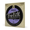 D'Addario EJ44C