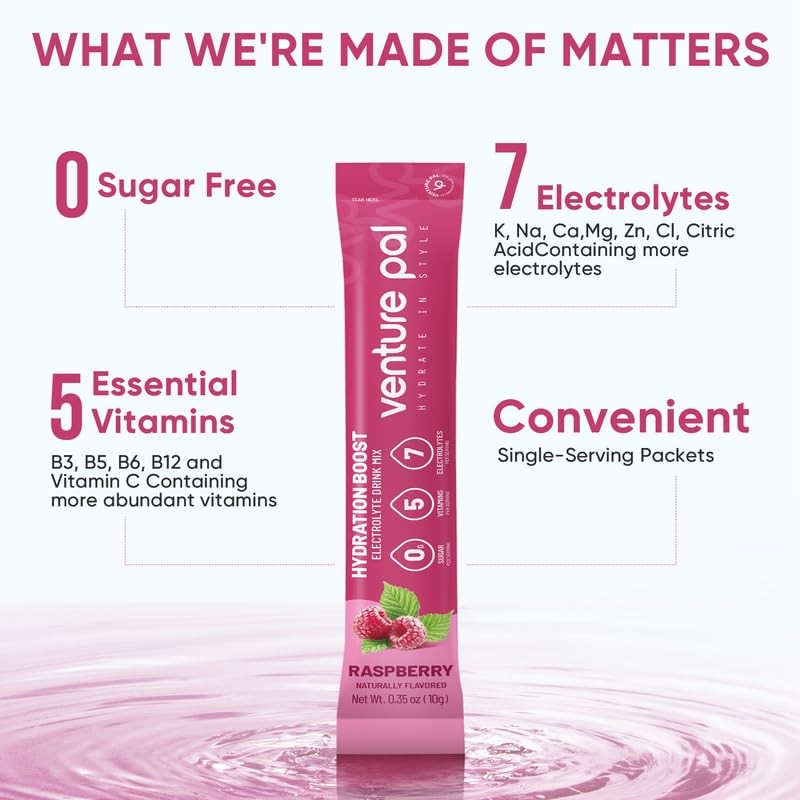 Venture Pal Sugar Free Electrolyte Powder Packets - Liquid Daily