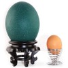 Nurnesy Ostrich Egg Display Stand Carving Ostrich Egg Tray Base