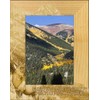 Rocky Mountain National Park with Elk Laser Engraved Wood Picture