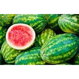 Watermelon Patch Fragrance Oil 1 oz Bottle Premium Grade for Candle and Soap Making by Midway Mercantile