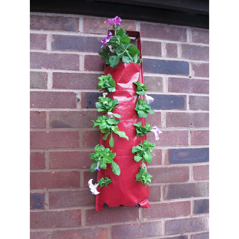Bowry's Red Hanging Strawberry Flower Bag Planters - Pack of