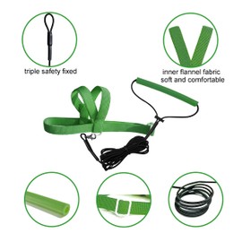 VANFAVORI Adjustable Bird Harness with 79 Inch Leash, Outdoor Flight Set Training Rope for Birds, Parrots, Cockatiels, Small, Weight 70-120g, Green