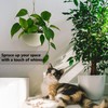 Hajia Waterdrop Shaped Hanging Planter, Metal Plant Hanger with Non-Detachable