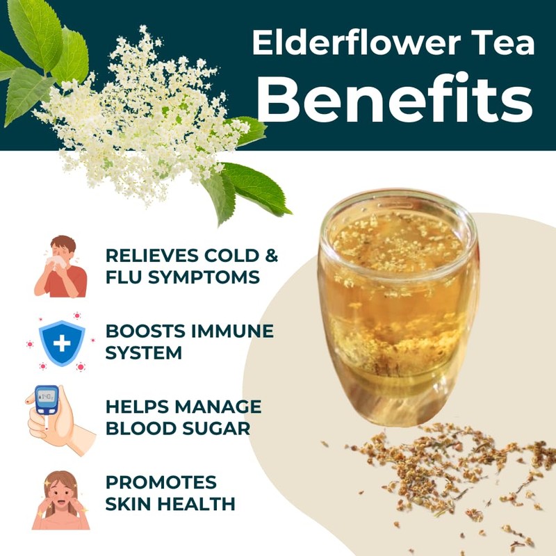 Teapro Premium Elderflower Tea 100g | Sambucus Nigra Dried Elderflower