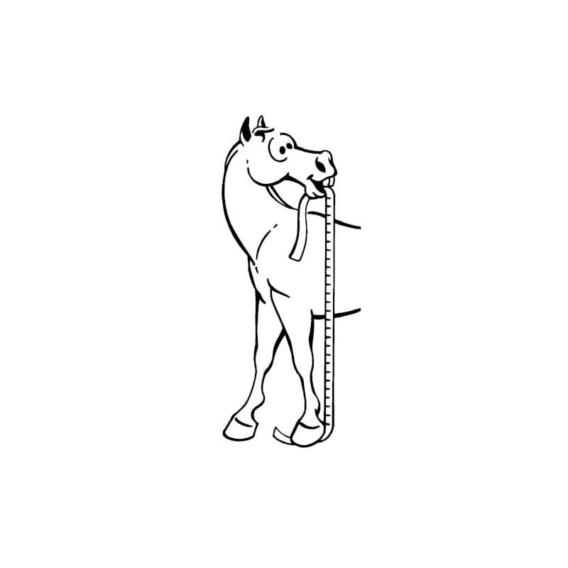 Tough 1 Sure Measure Horse and Pony Height/Weight Tape