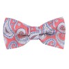 King & Priory Red with Blue Paisley Bow Tie
