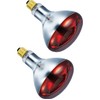 BULBMASTER 250 Watts R40 Red Heat Lamps Outdoor Bulbs for